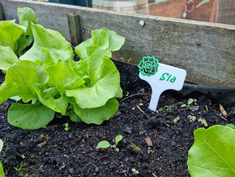 Moestuin labels | Set van 6