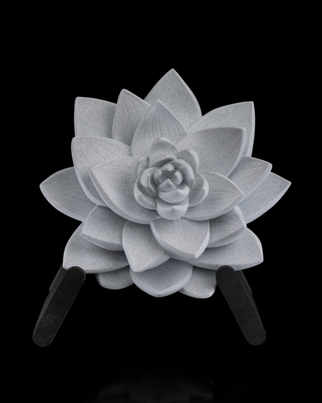 The Lotus