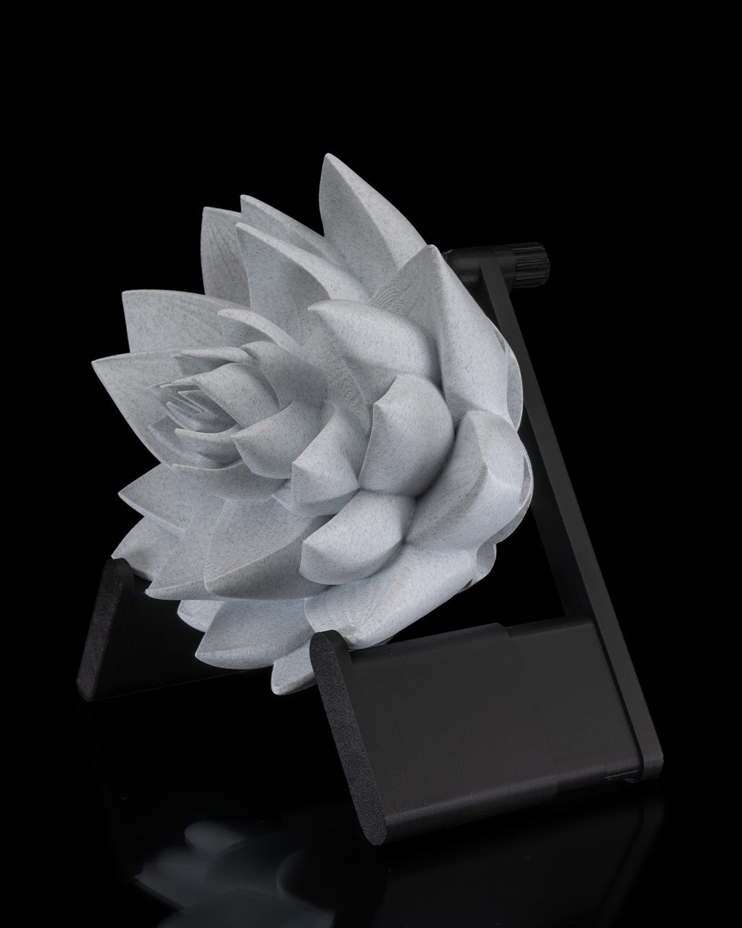 The Lotus