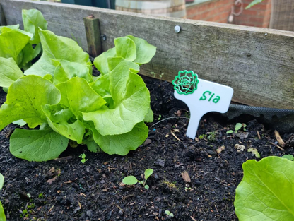 Moestuin labels | Set van 6