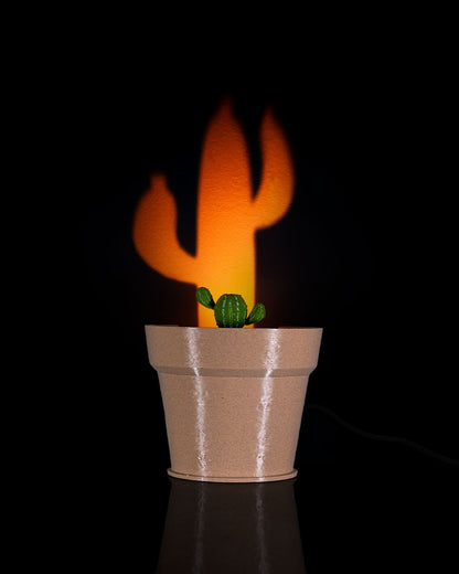 Cactus Vase