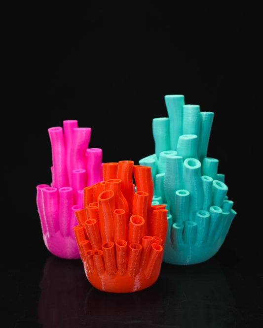 Coral Vase