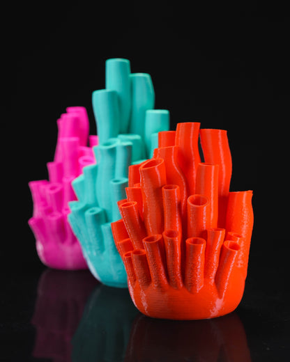 Coral Vase
