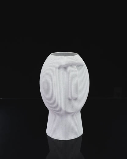 Silent Dude New
