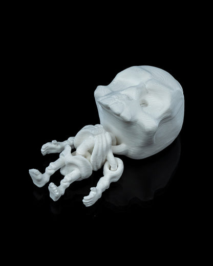 Funny Skeleton | LED Verlichting Accessoire