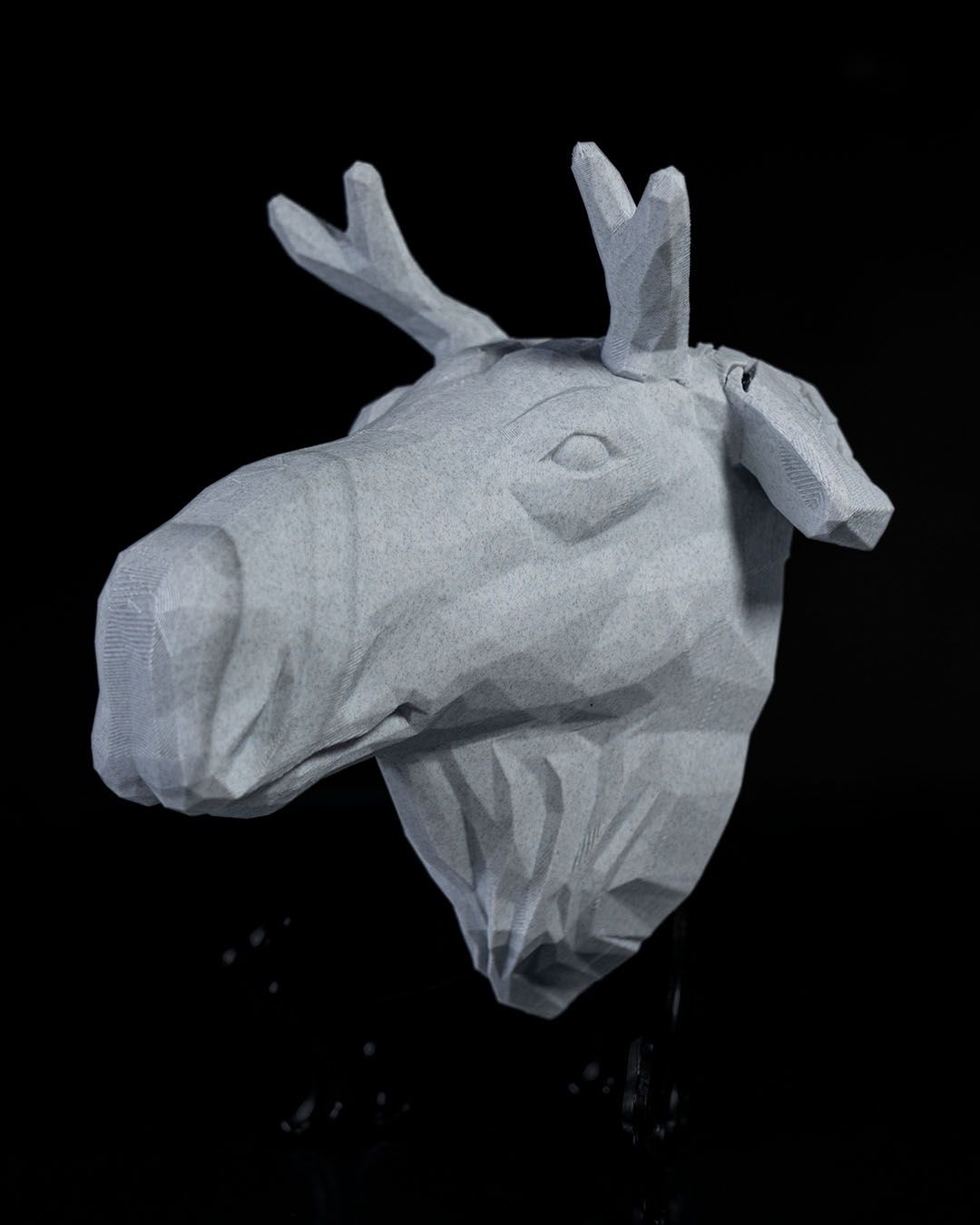 High Elk