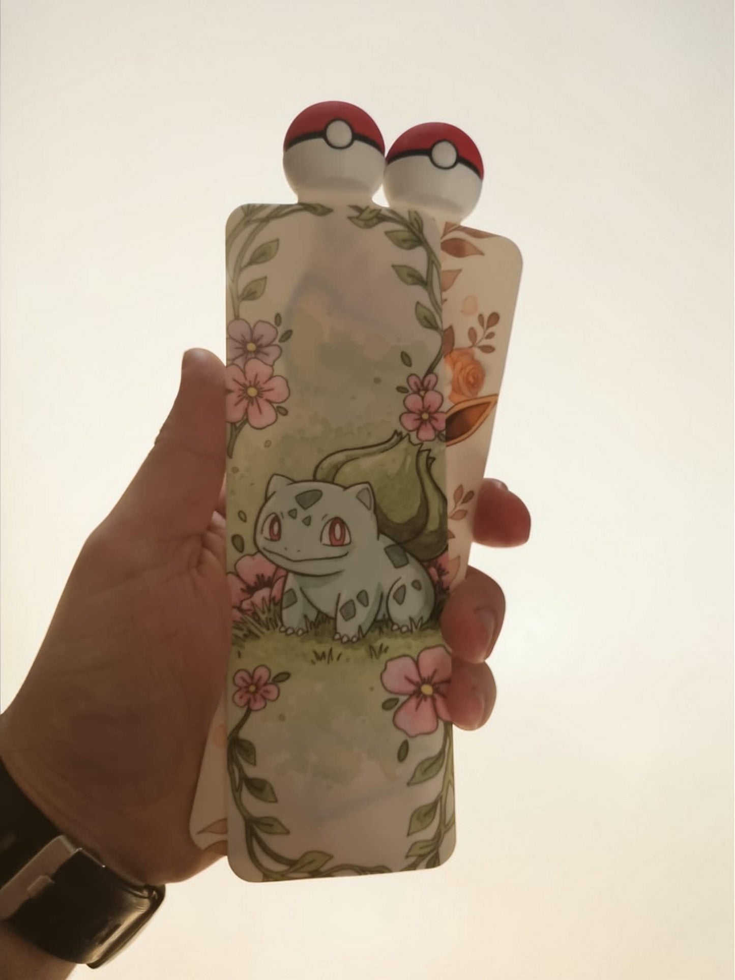 Pokémon Bladwijzer