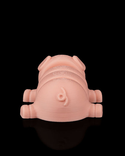 Pig Plop | Sleutelhanger