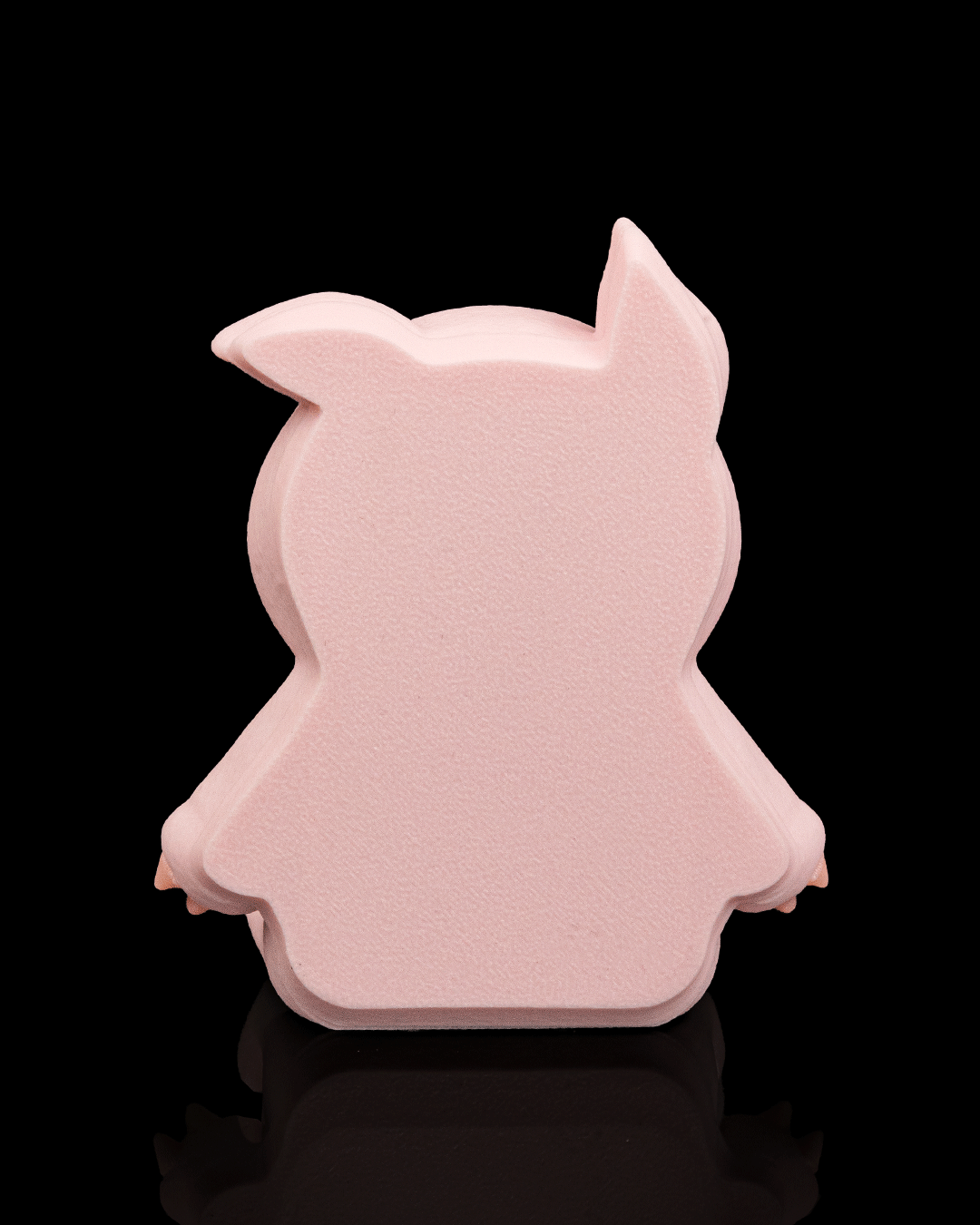 Pork Belly | Fidget