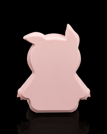 Pork Belly | Fidget