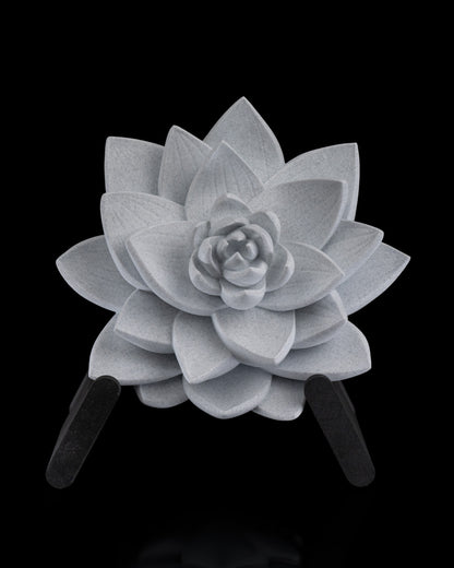 The Lotus