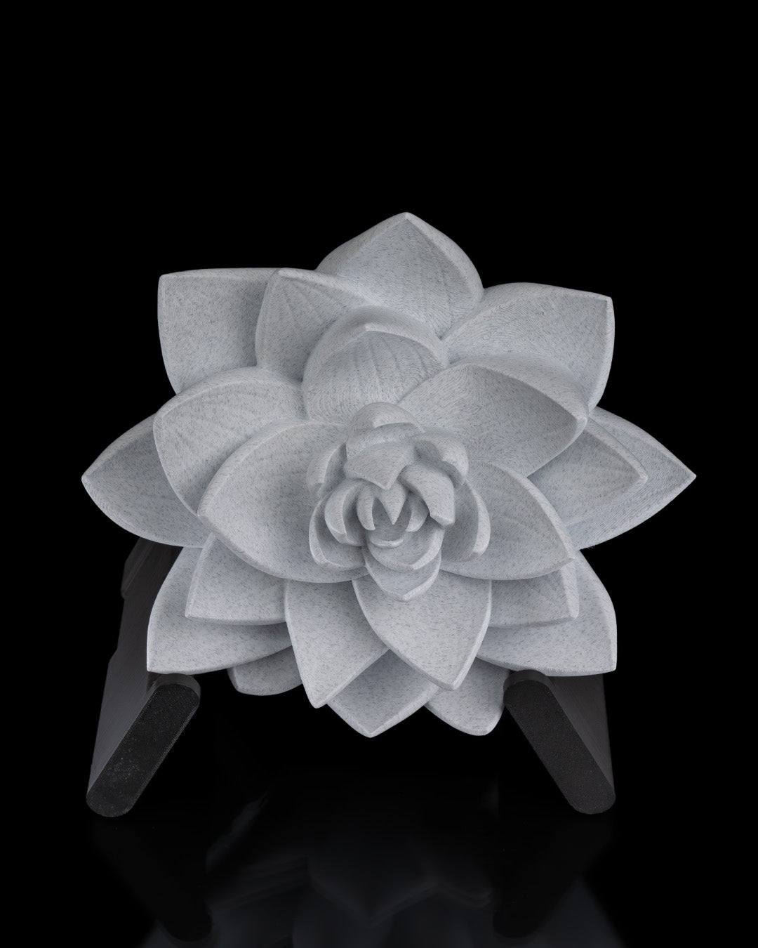 The Lotus