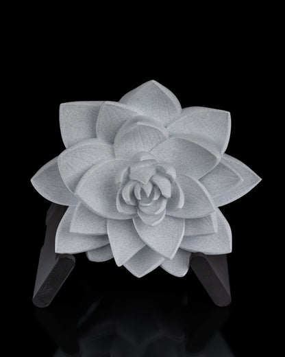 The Lotus