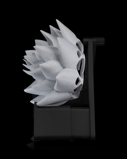 The Lotus