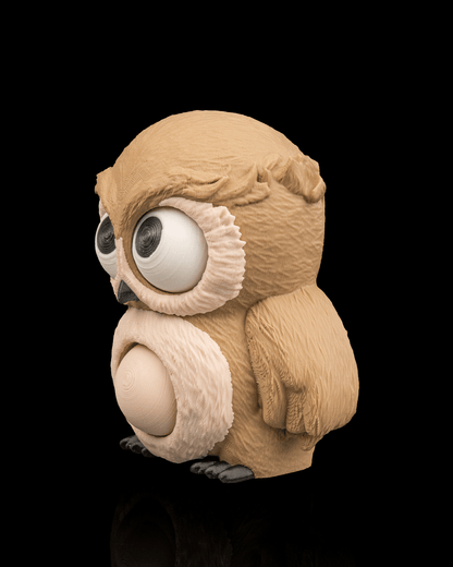 Whoo's There? | Fidget