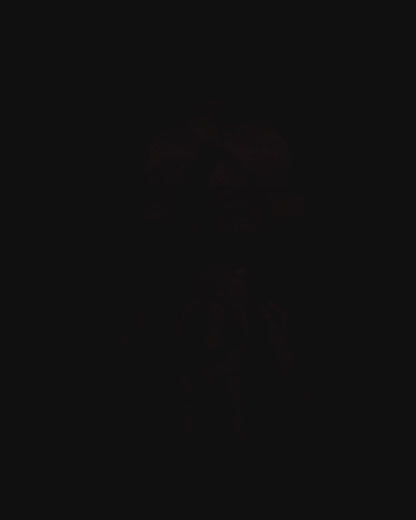 Funny Skeleton | LED Verlichting Accessoire