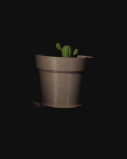 Cactus Vase