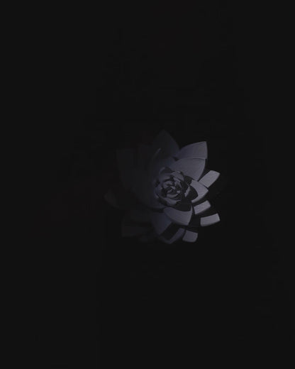 The Lotus