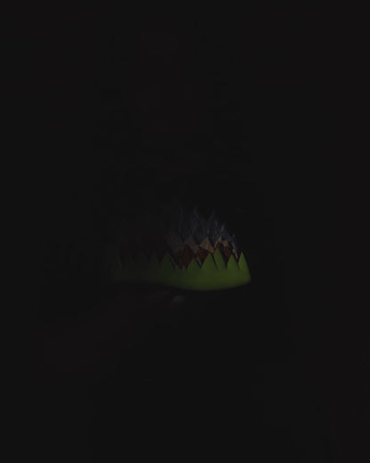 Mountain Sightseeing